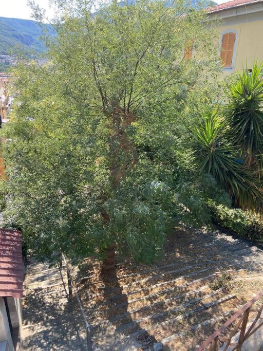 All'Ombra Delle Sophore La Spezia Dış mekan fotoğraf